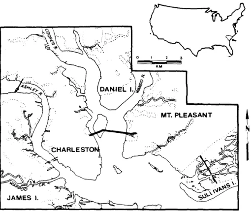 Figure 7-1.  Map of the Charleston case study area. (Map supplied by Research Planning Institute