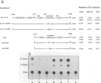 FIG. 4.expressionbyandofcontained chloramphenicol Structures and activities of mutants bearing altered octameric sequences