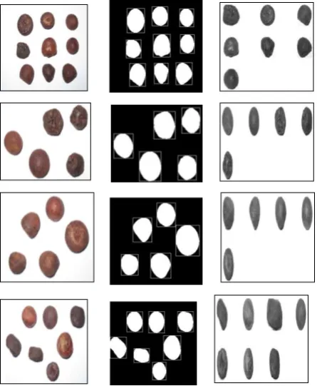 Figure 1: Sample Experimental Results 