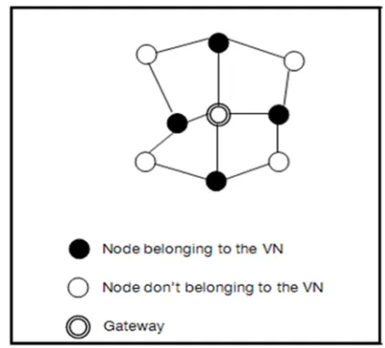 Fig. 1. VNSIP Node Architecture 