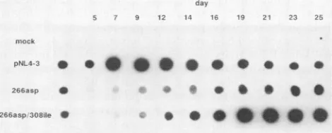 TABLE 1. Infectivity of wild-type HIV-1 containing revertantenvelope codon substitutions
