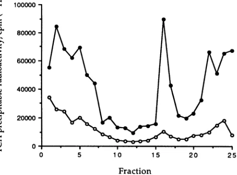 FIG.1.6.6cellsthroughoftionated,extracts7.4.radioactivitypriateproducedRNAsynthesis. dactinomycin Effect of different pH values on in vitro genomic RNA VSV was allowed to absorb to BHK cells for 1 h at pH The cells were then replenished with new media at t