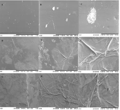 Figure 6.dip‐coated mPE‐nHA at   three(C mPE) Profiling ‐dimensional‐nHAof  vera 24 at dip 1000×;h ‐coated  representations (BAloe mPE‐nHA at 1000×.   (Figure  6.Profiling)  Profiling  of 1000×;Aat)mPE‐nHA    Hiroxof pristine  digital12  h microscopy. Aloe