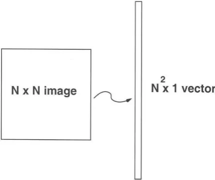 Figure 1: an image represented as a vector 