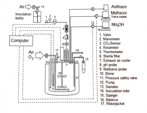 Figure 3. Small-scale 2L bioreactor schematic 