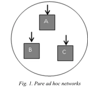 Fig. 1. Pure ad hoc networks 