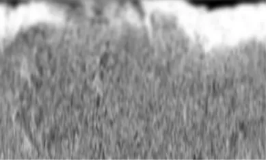 Fig. 3(a), which depicts the images obtained for φ301 =, 311, . . ., 351o for the data box under consideration.The gray-level images in Fig