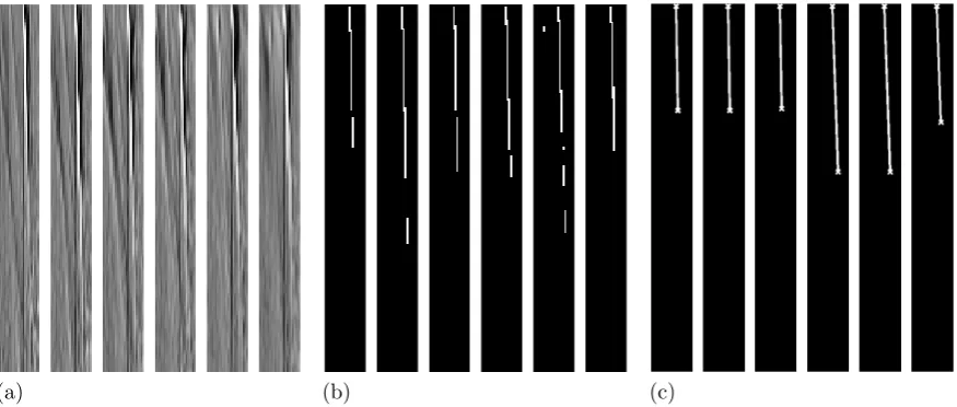 Figure 3: (a) Original time-height image. (b) Thresholding of (a). (c) Straight line segments detected by the Houghtransform.
