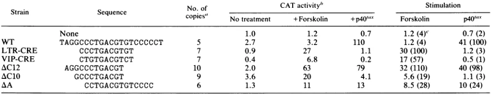 TABLE 1. trans activation of the 21-bp repeat and its mutants by p40,"-in Jurkat cells