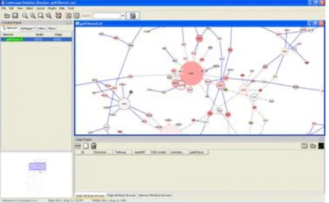 Figure 1  Cytoscape 2.6.3, an open source platform for complex network analysis and visualization  