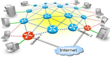 Fig. 1. A Wireless Mesh Network 
