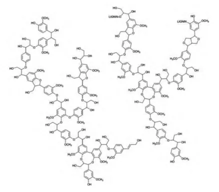 Figure 1.6: Structure of lignin.