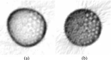 Fig. 9. 45 cm off-axis images a) before attenuation and arc correction and b) after arc and attenuation  correction