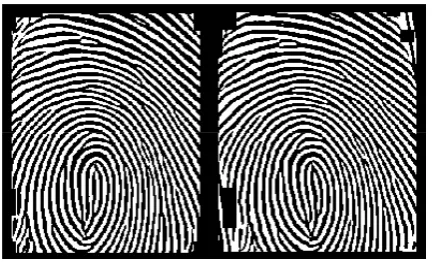 Figure 1. The left binary image is the one without the