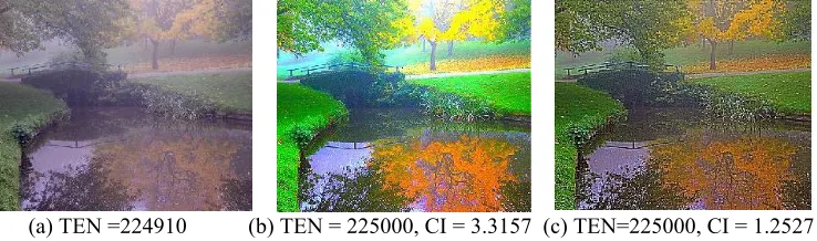 Fig. 3.  (a) Scenery image (c) After applying method of visibility enhancement (d) After applying proposed method  