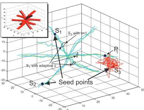 Figure 2: Tracking results for the “star” synthetic DT-MR image. Black: seed points. Blue: ﬁber paths ob-tained using adjustment with NN, Green: paths usingestimation with the proposed AG
