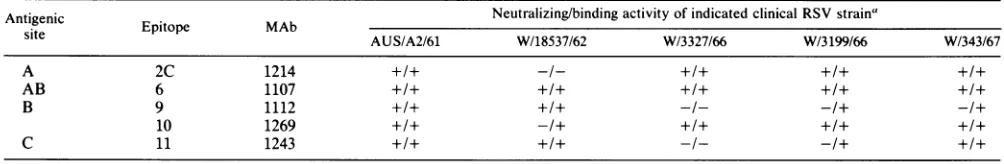 TABLE 5. Comparison of neutralizing and binding activities of anti-F MAbs to RSV clinical isolates