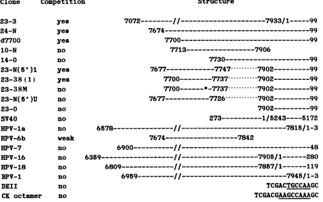 FIG. 4.7732abilityrelevant Effect of unlabeled clones on specific protein binding to CEII