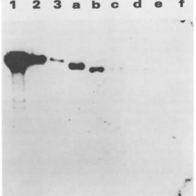 FIG.7.X/iol-digestedthefromextractedgestedparedtransfectioncellulose,p20hmp3.71Ahm1 to Plasmid maintenance capacity of deletion mutations in 3' end of the dyad region when tested in the pHm vector