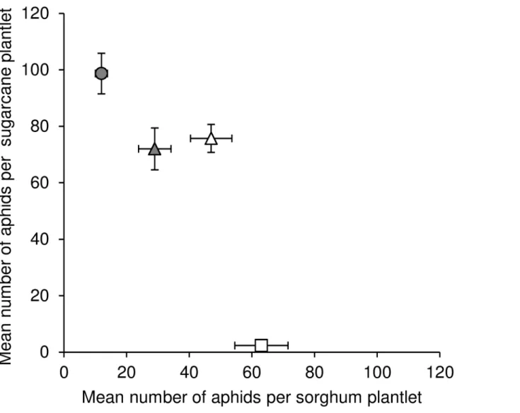 Fig 4. Illustration of the negative correlation of the performances on sorghum and sugarcane of four isofemale lineages in the laboratory host transfer experiments