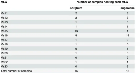 Table 3. Number of samples hosting at least one individual of each of the 13 MLGs on sugarcane or sorghum samples.