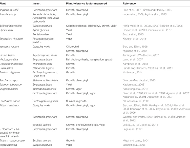 TABLE 1 | Plants and tolerance factors studied in response to hemipteran pests.