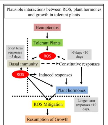 FIGURE 1 | Predicted interactions between ROS and plant hormones during the tolerance response