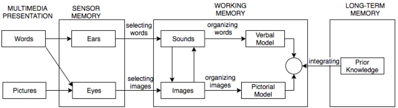 Figure 2.7 A cognitive theory of multimedia learning [May02].