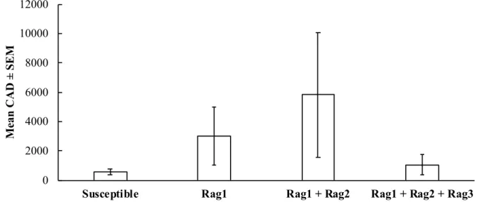Figure 1. Cumulative aphid days (CAD) ± standard error of the mean (SEM) of biotype-1  soybean aphids on caged soybean plants of various soybean aphid resistances