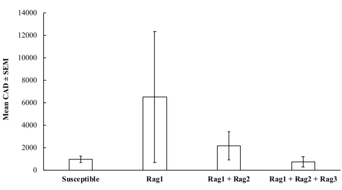 Figure 3. Cumulative aphid days (CAD) ± standard error of the mean (SEM) of biotype-4  soybean aphids on caged soybean plants of various soybean aphid resistances