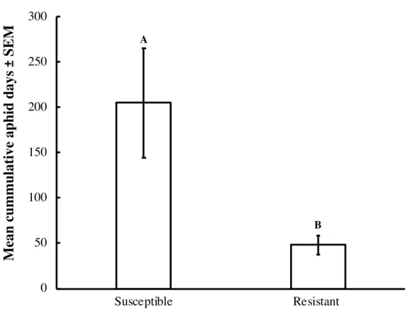 Figure 2. Mean cumulative aphid days (CAD) ± standard error of the mean (SEM) across all 1113 