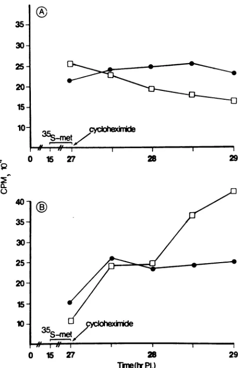FIG. 4.treatedquantitysynthesisintervalsthenuclearcompared Effect of protein synthesis inhibition on VP1 cytoplasmic and nuclear transport