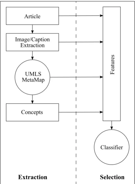 Figure 2: Term Extraction and Selection. Wegather features for the extracted terms and usethem to train a classiﬁer that selects the terms thatare useful for indexing the associated images.