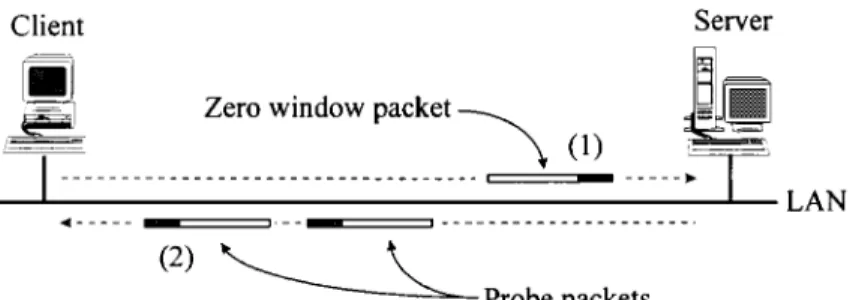 Figure 3. Client–server TCP flow showing probe segments.