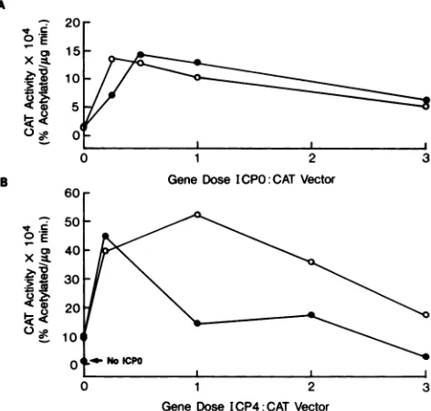FIG.3.pOWTCATthethe Response of ICPO promoter CAT vectorsto ICP4. (0) or pO68CAT (0) plasmids were cotransfected with indicated amounts of the ICP4 expression vector pMEX4, and subsequent CAT activity of cell extracts was determined.