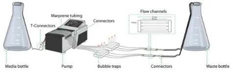 Figure 1 The components and set up of the flow cell system [27]  