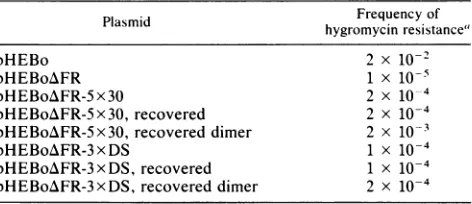 TABLE 3. Frequencies with which pHEBozFR-5x30and pHEBo/FR-3xDS isolated from Raji cellscan be stably reintroduced into Raji cells