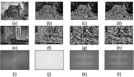 Table 6: DWT of image 3 second-last high resolution in horizontal: Original Reconstruct Db7(d), Central Zoom(e), Reconstruct Db1(f), Reconstruct 