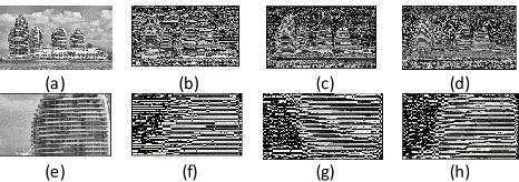 Table 7: DWT of image 4 in third-to-last resolution in horizontal: Original Reconstruct Db7(d), Central Zoom(e), Reconstruct Db1(f), Reconstruct 
