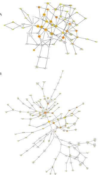 Figure 2. The BiNGO analysis regarding: cellular component and molecular function. (protein domain–speciﬁc binding, identical protein binding, SMAD binding, identical protein binding,phosphoproteins binding,Figure 2.A) Map of the cellular component and mol