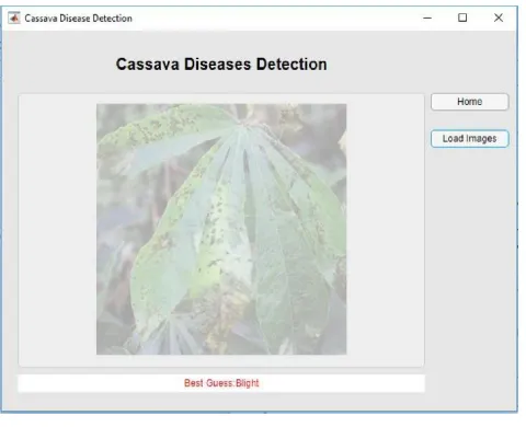 Fig. 28. Disease Detection Page Sample Prediction 