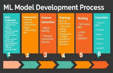 Fig. 2. Sample Healthy Training Data 
