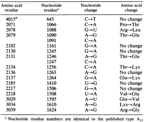 TABLE 4. Changes in nucleotide and amino acid residues intype A12 from published sequence (45)