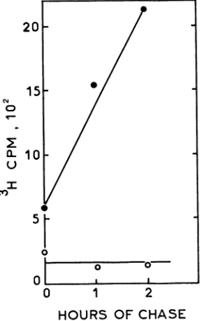 FIG. 6.genomegenomicadditionalthe Summary of marker rescue experiments to determine the location of the A44ts2 mutation