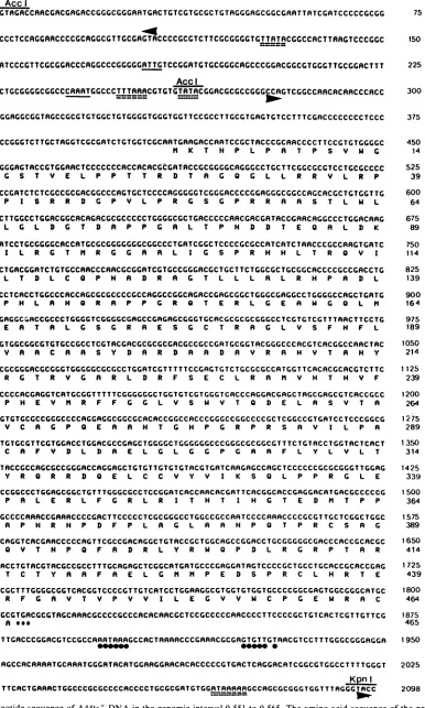 FIG. 8.forandoftranscriptindicated ORF.553 Nucleotide sequence of A44ts+ DNA in the genomic interval 0.551 to 0.565