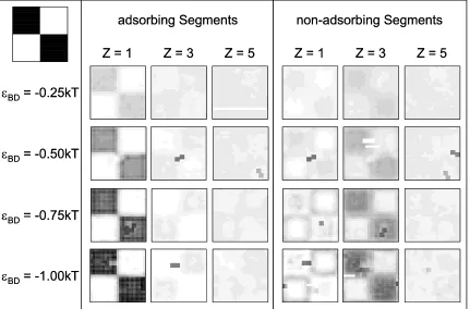 Figure 4.5.2 Alternating copolymer planar x-y dimensional probability density profiles for the 1st, 3rd, and 5th planes away from a [12×12] patterned surface for the adsorbing (left panel) and non-adsorbing (right panel) segments