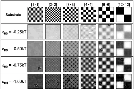 Figure 4.5.3 Diblock copolymer planar x-y dimensional probability density profiles at the substrate interface (i.e