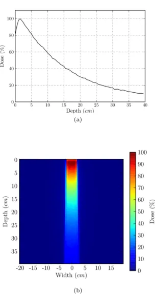 Fig. 3 Simulation output; (a) shows the central axis depth dose and (b) shows the dose distribution of the central slice in the water phantom