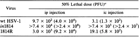 TABLE 4. Virulence of wt HSV-1, in1814, and 1814R in mice
