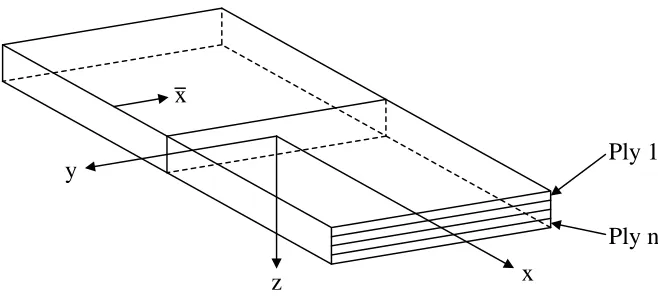 Figure 2.13 Free Edge Stress Coordinate System 